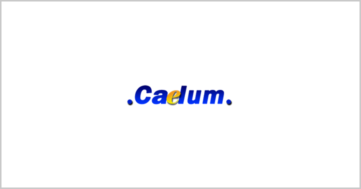 Caelum Research Wins $201M Army Data Collection Support Contract