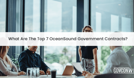 What Are The Top 7 OceanSound Government Contracts?