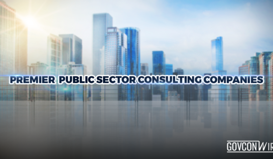 Premier Public Sector Consulting Companies
